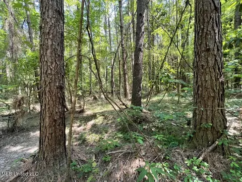 000002 Cole Dr SE, Ruth, MS 39662 photo 14