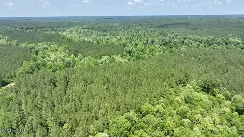 000002 Cole Dr SE, Ruth, MS 39662 photo 9