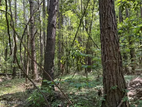 000002 Cole Dr SE, Ruth, MS 39662 photo 6