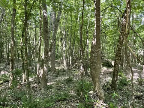 000002 Cole Dr SE, Ruth, MS 39662 photo 23