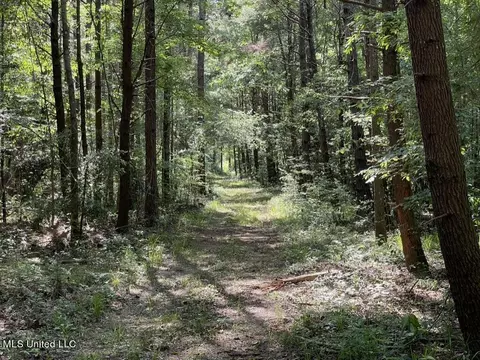 000002 Cole Dr SE, Ruth, MS 39662 photo 15