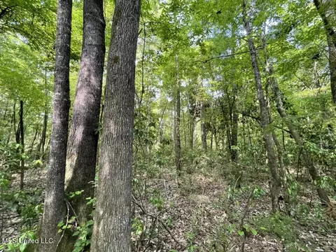 000002 Cole Dr SE, Ruth, MS 39662 photo 17