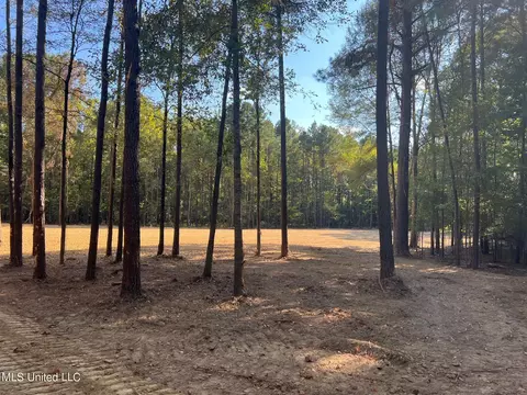 Stout Rd, Canton, MS 39046 photo 7