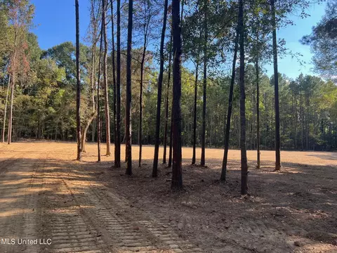 Stout Rd, Canton, MS 39046 photo 6