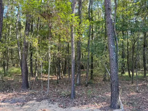 Stout Rd, Canton, MS 39046 photo 8