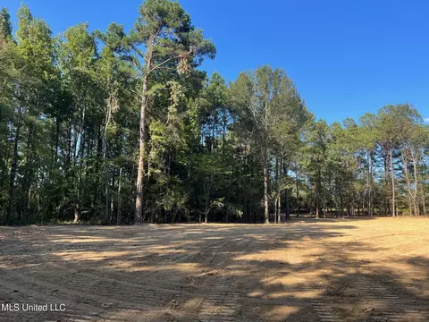 Stout Rd, Canton, MS 39046 photo 5