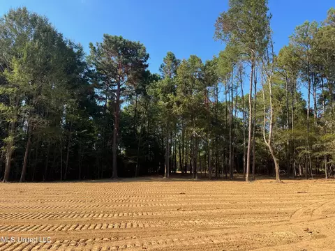 Stout Rd, Canton, MS 39046 photo 2