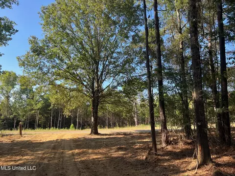 Stout Rd, Canton, MS 39046