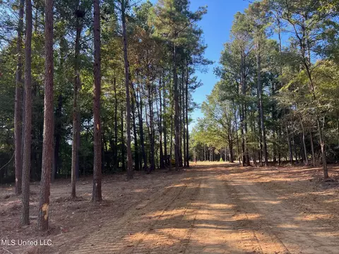 Stout Rd, Canton, MS 39046 photo 3