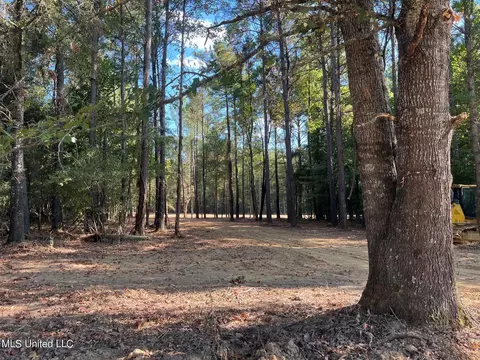 Stout Rd, Canton, MS 39046 photo 4