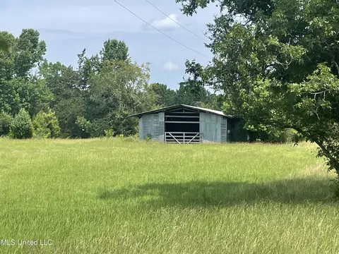 694 Pat Luckett Rd, Canton, MS 39046 photo 9