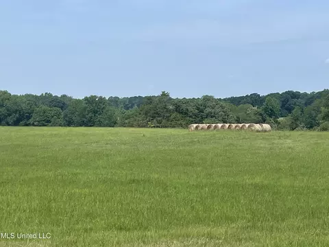 694 Pat Luckett Rd, Canton, MS 39046 photo 10