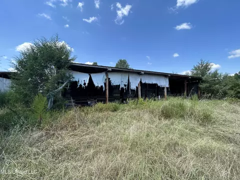 694 Pat Luckett Rd, Canton, MS 39046 photo 13