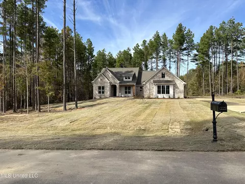 215 Lost Oak Ln, Brandon, MS 39047 photo 29