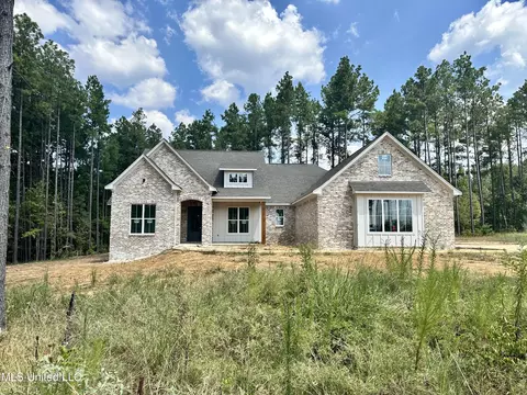 215 Lost Oak Ln, Brandon, MS 39047 photo 3