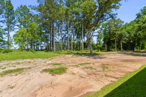 196 Webb Davis Rd, Lucedale, MS 39452 photo 18