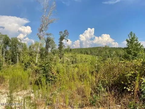 0001 Sun Tower Rd, Forest, MS 39074 photo 2