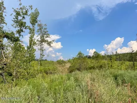 0001 Sun Tower Rd, Forest, MS 39074 photo 4
