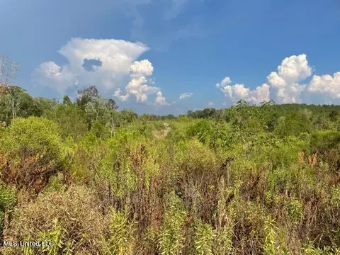 0001 Sun Tower Rd, Forest, MS 39074