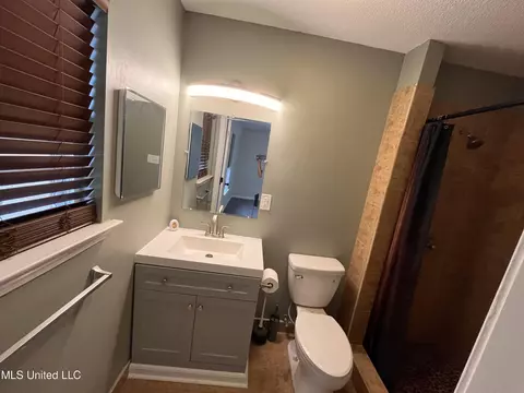 Bath - 492 Memphis Ave, Mount Pleasant, MS 38635 photo 2 of 3