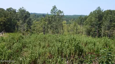800 Hugh White State Park Rd, Grenada, MS 38901