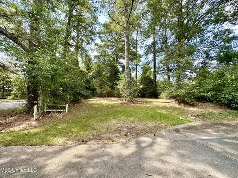 55 Lake Como Rd, Laurel, MS 39443 photo 7