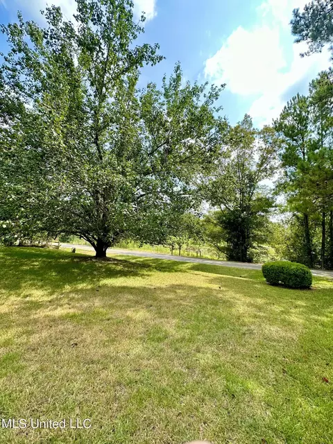 55 Lake Como Rd, Laurel, MS 39443 photo 6