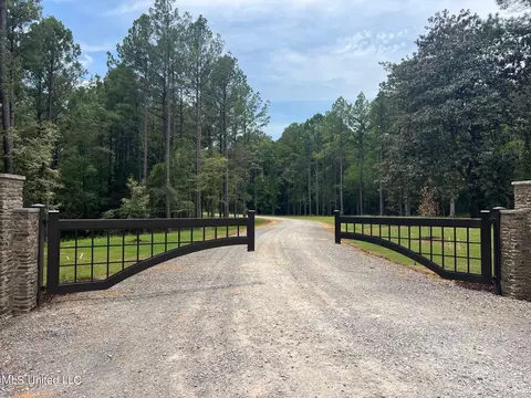 Springwood Trail, Flora, MS 39071 photo 3