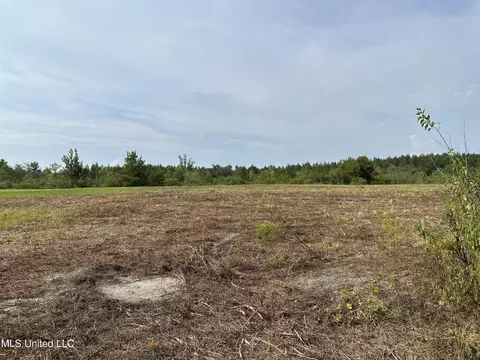 Oil Well Road Road, Richton, MS 39476