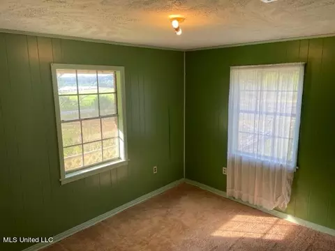 6161 Langs Mill Rd, Forest, MS 39074 photo 11