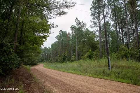 Pleasant Ridge Road, Lexington, MS 39095