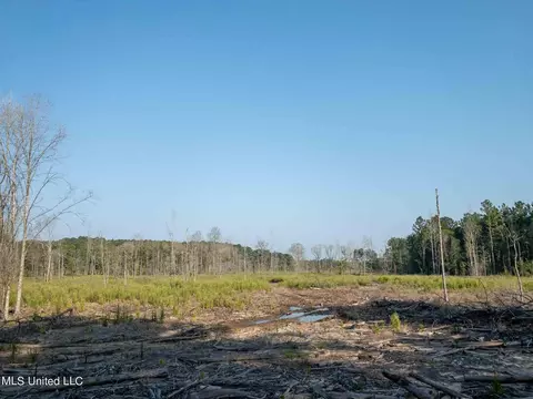 40 Ac - Mt Carmel Church Rd, Foxworth, MS 39483