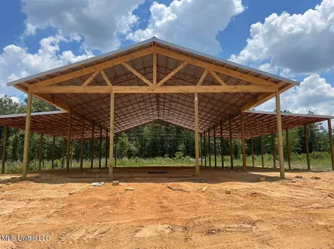158 Bee Summers Rd, Lena, MS 39094 photo 4