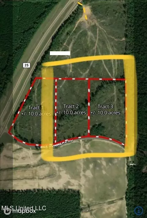 158 Bee Summers Rd, Lena, MS 39094 photo 3