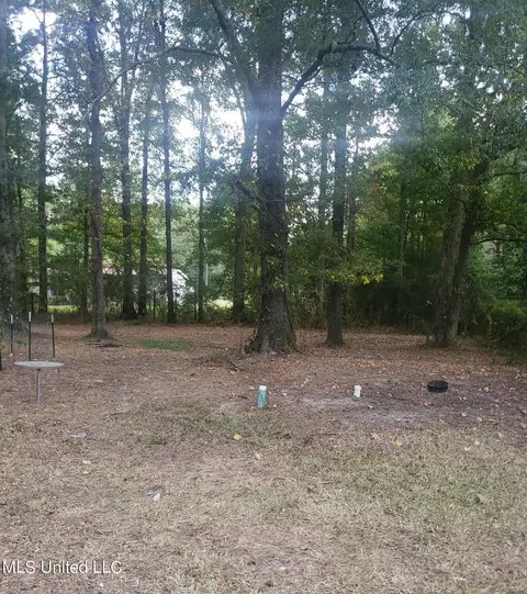 138 Rosalie Ave, Florence, MS 39073 photo 9
