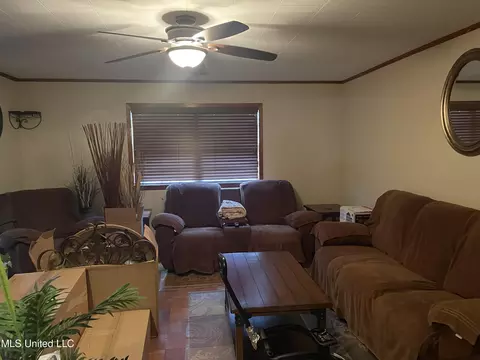 1591 N Highway 44, Jayess, MS 39641 photo 5