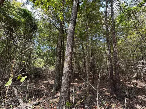 1 Edwards Rd, Carthage, MS 39051 photo 10