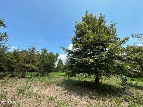1 Edwards Rd, Carthage, MS 39051 photo 6