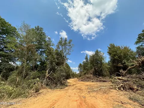 1 Edwards Rd, Carthage, MS 39051 photo 22