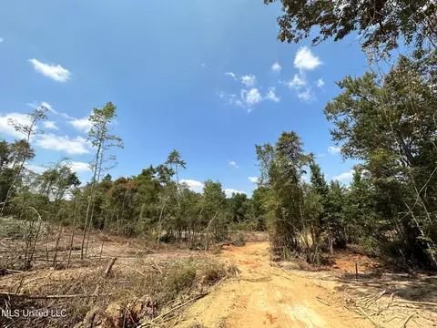 1 Edwards Rd, Carthage, MS 39051 photo 19