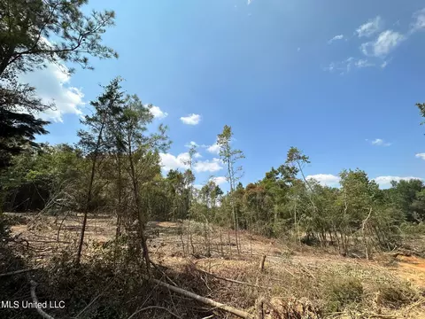 1 Edwards Rd, Carthage, MS 39051 photo 20