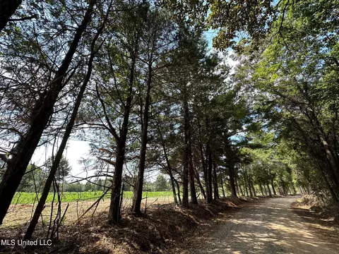 1 Edwards Rd, Carthage, MS 39051 photo 2