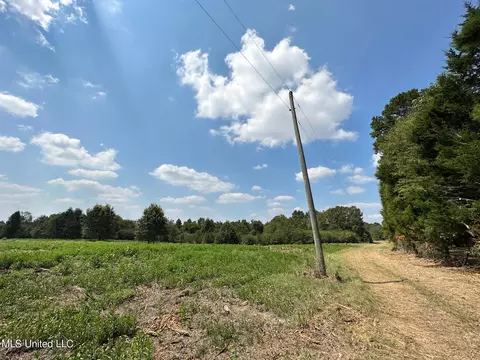 1 Edwards Rd, Carthage, MS 39051 photo 8