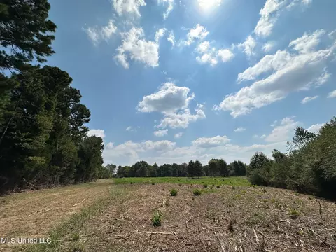 1 Edwards Rd, Carthage, MS 39051 photo 3