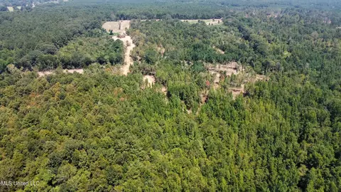 1 Edwards Rd, Carthage, MS 39051 photo 12