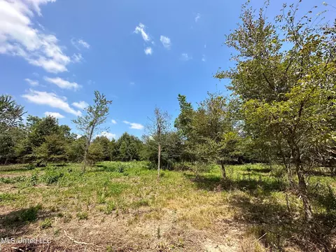 1 Edwards Rd, Carthage, MS 39051 photo 5