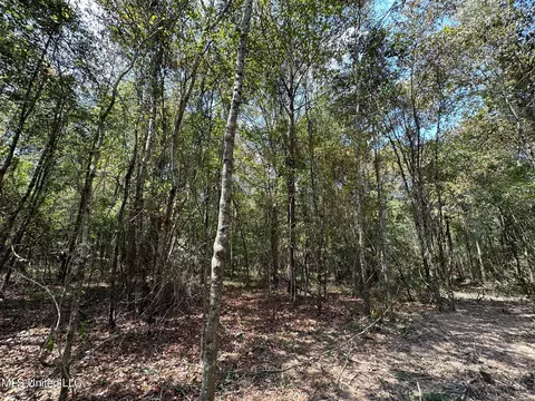 1 Edwards Rd, Carthage, MS 39051 photo 9
