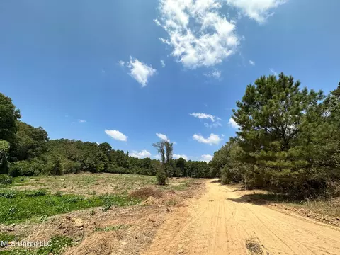 1 Edwards Rd, Carthage, MS 39051 photo 23
