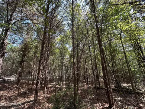 1 Edwards Rd, Carthage, MS 39051 photo 11