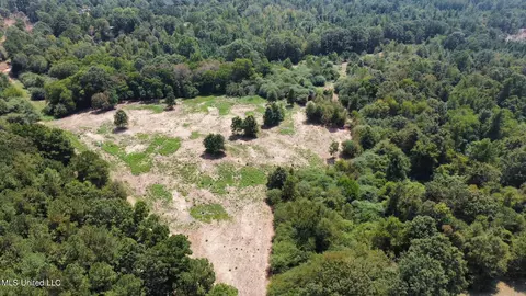 1 Edwards Rd, Carthage, MS 39051 photo 17